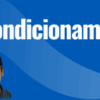 Formación e condicionamiento en plataforma sniffy
